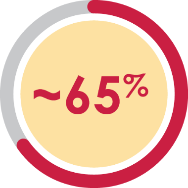Icon stating approximately 65% of all primary SCCs